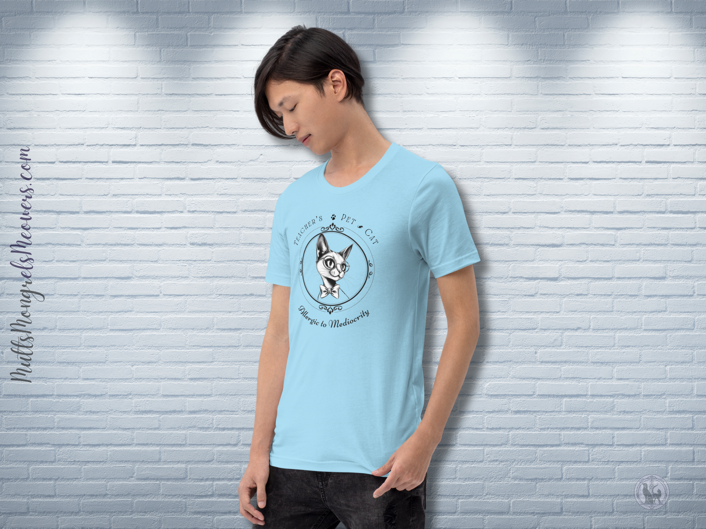 T-Shirt Stylish Art Deco Teacher’s Pet Parent Gift Unisex Fit Unique Feline Funny Teacher Appreciation Tee Back to School Cat Lover Apparel