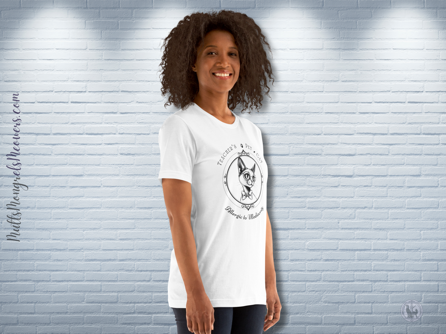T-Shirt Stylish Art Deco Teacher’s Pet Parent Gift Unisex Fit Unique Feline Funny Teacher Appreciation Tee Back to School Cat Lover Apparel