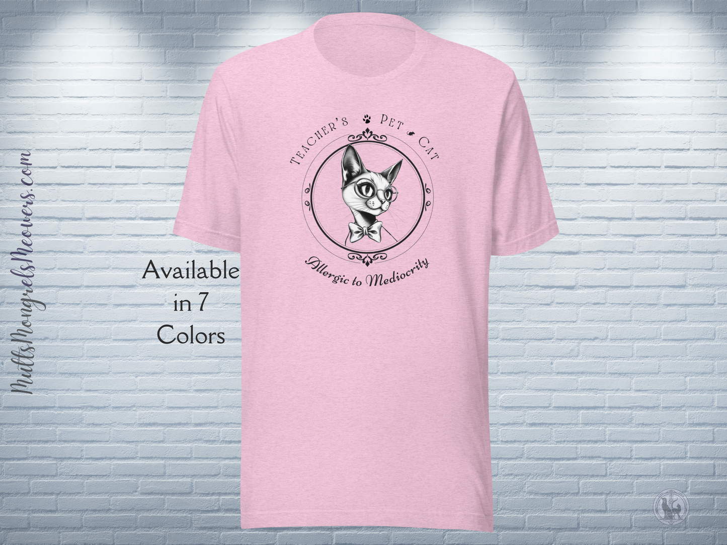 T-Shirt Stylish Art Deco Teacher’s Pet Parent Gift Unisex Fit Unique Feline Funny Teacher Appreciation Tee Back to School Cat Lover Apparel